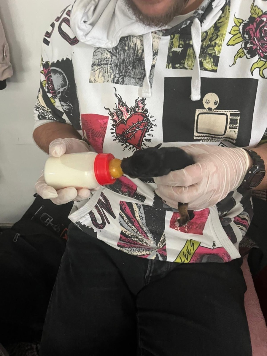 WhatsApp Image 2025-12-22 at 15.42.16 (5)