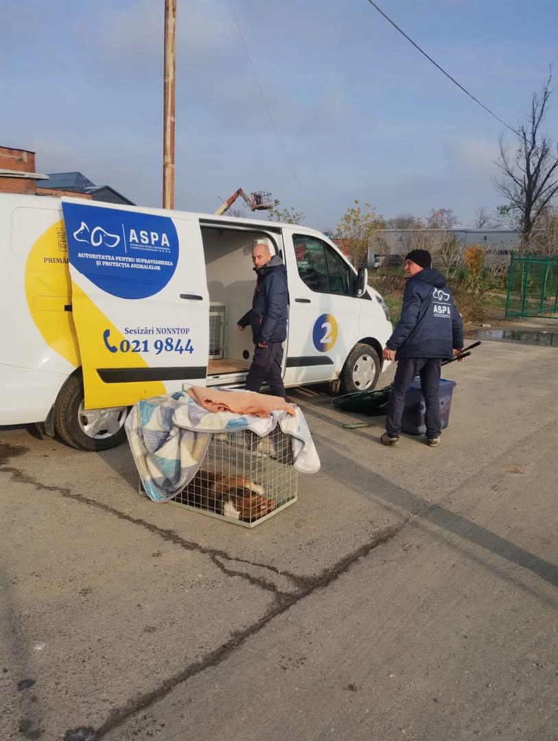 WhatsApp Image 2025-12-22 at 15.42.16