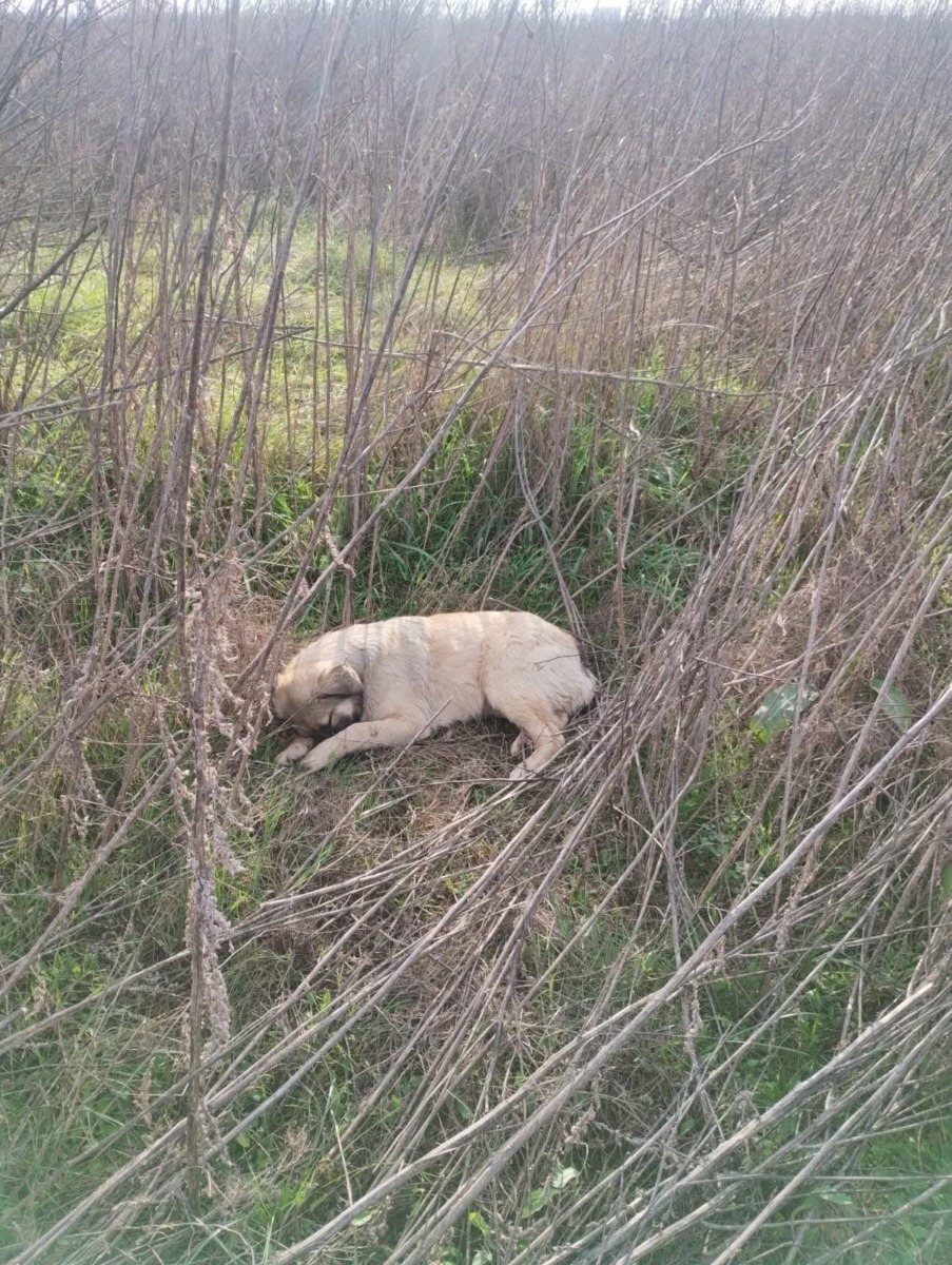 WhatsApp Image 2025-12-22 at 15.42.17 (2)