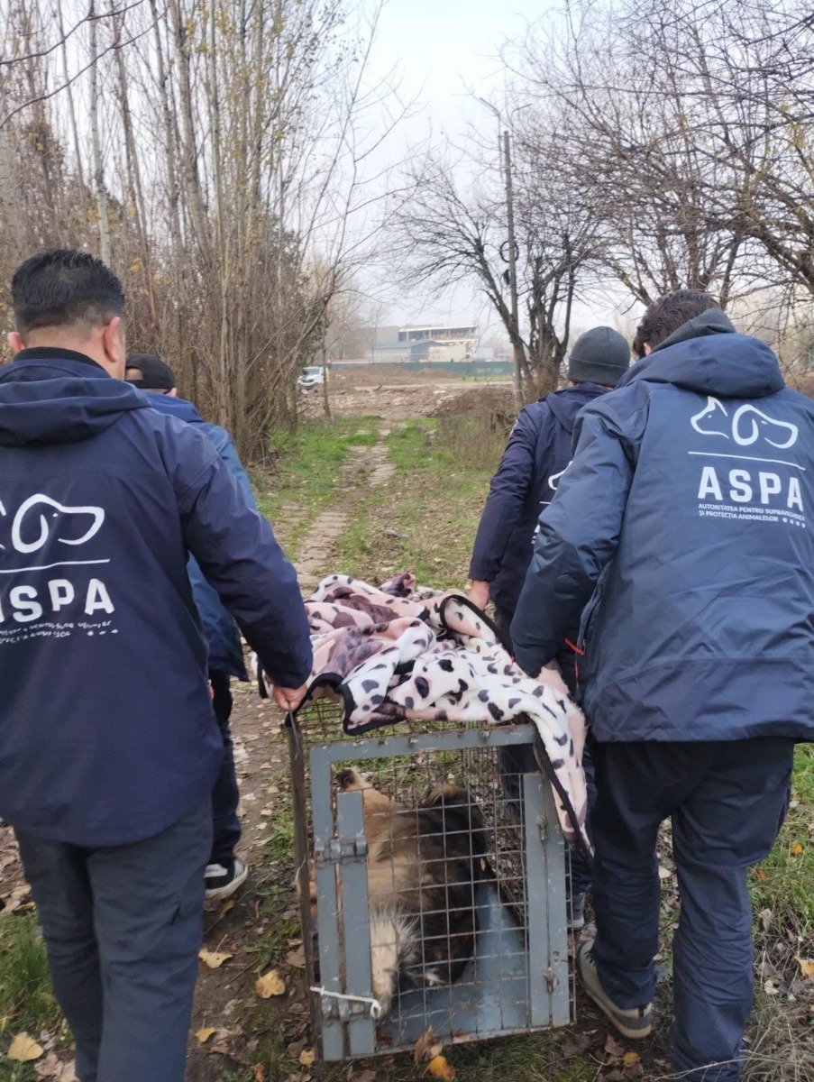 WhatsApp Image 2025-12-22 at 15.42.17