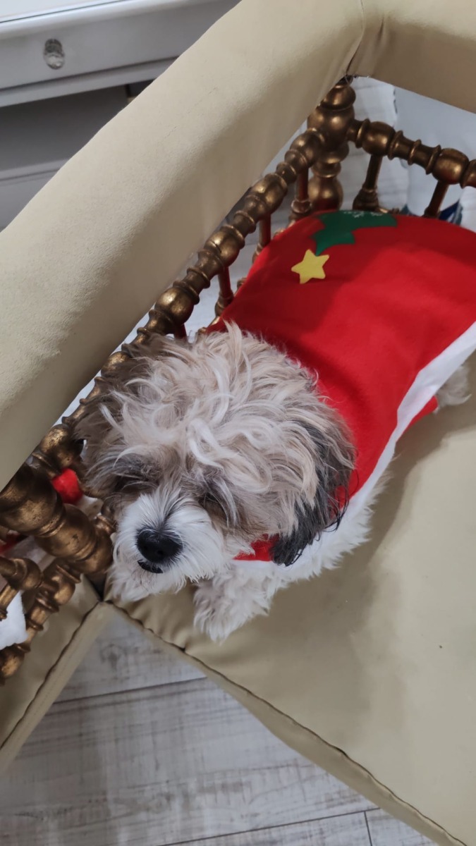 WhatsApp Image 2025-12-22 at 18.14.34 (1)