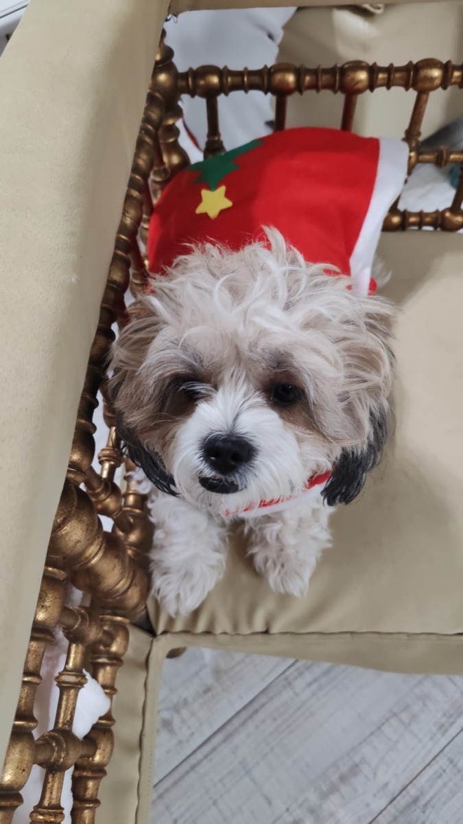 WhatsApp Image 2025-12-22 at 18.14.34