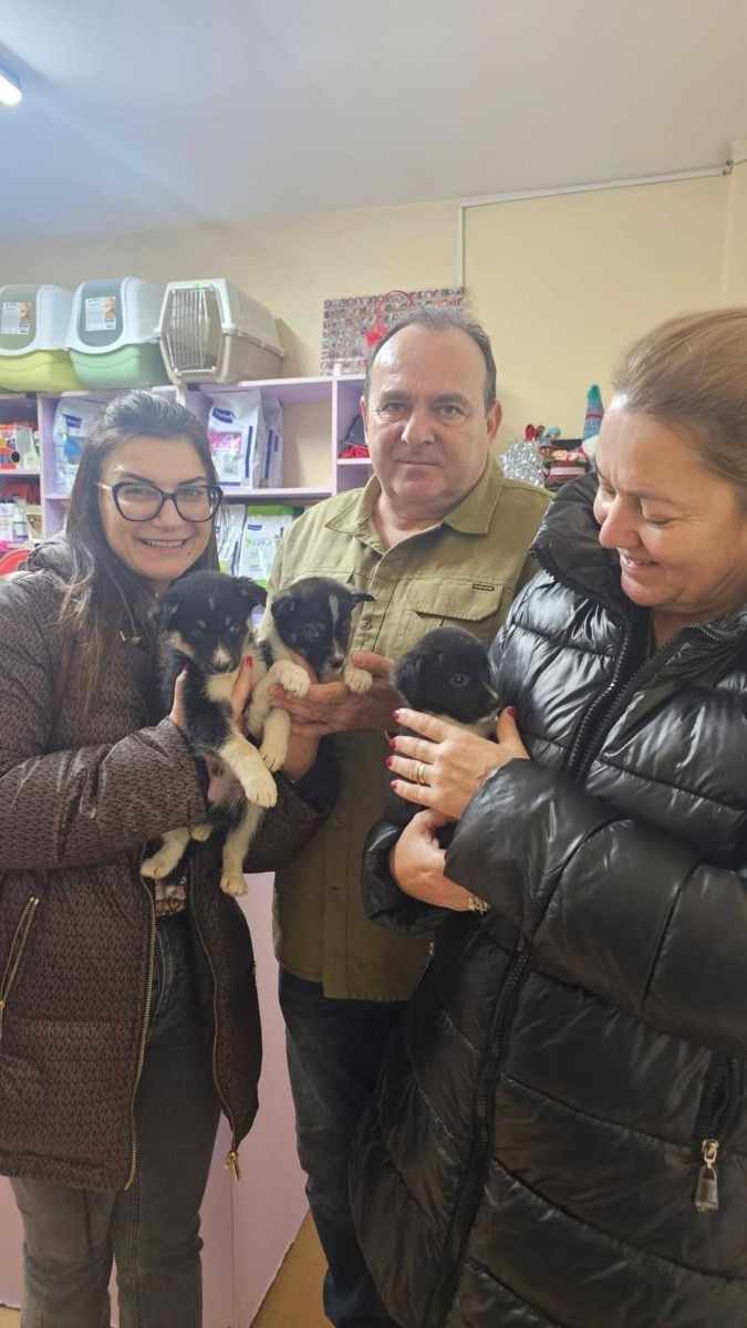 WhatsApp Image 2025-12-23 at 17.14.41