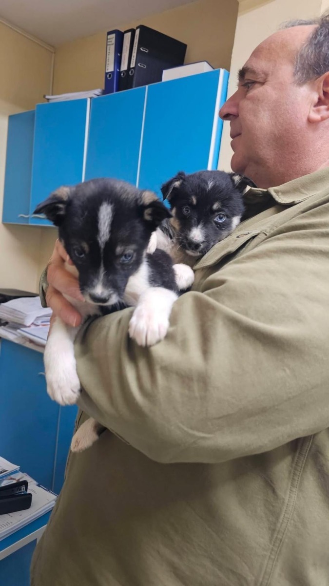 WhatsApp Image 2025-12-23 at 17.14.42 (1)