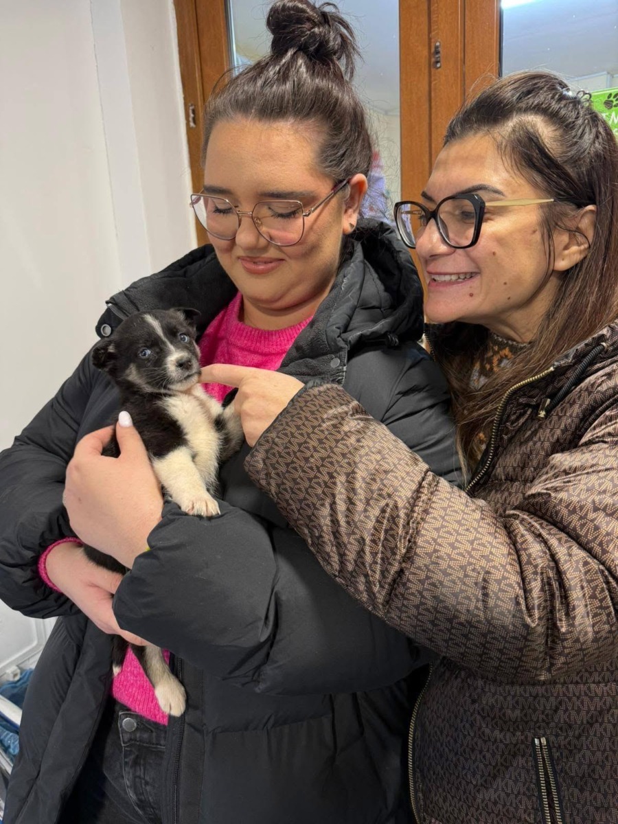 WhatsApp Image 2025-12-23 at 17.14.42 (12)