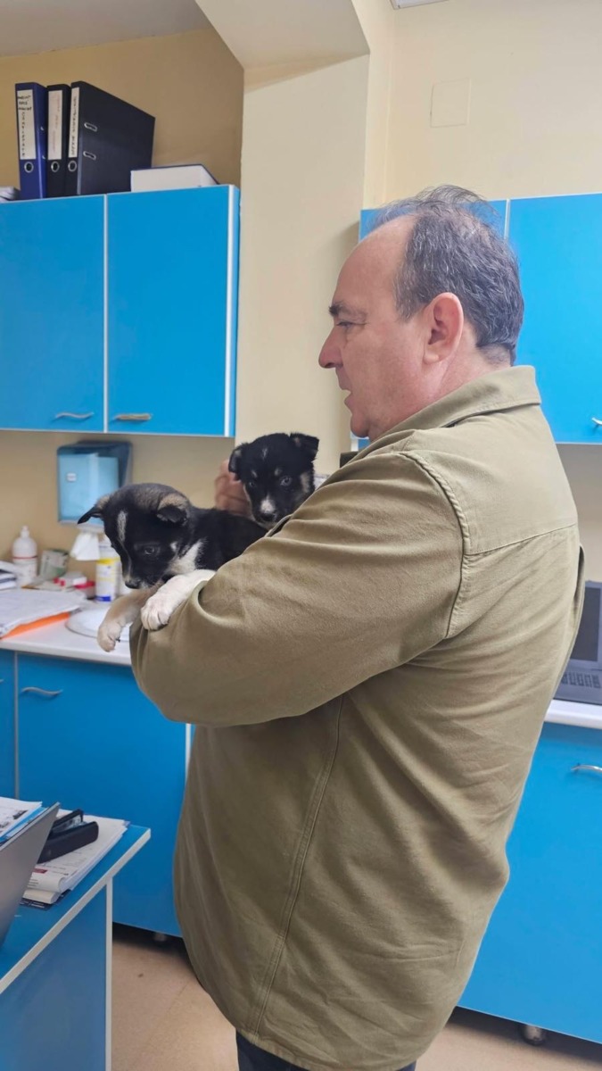 WhatsApp Image 2025-12-23 at 17.14.42 (2)