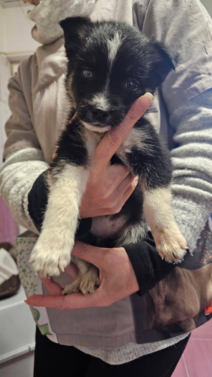 WhatsApp Image 2025-12-23 at 17.14.42 (3)