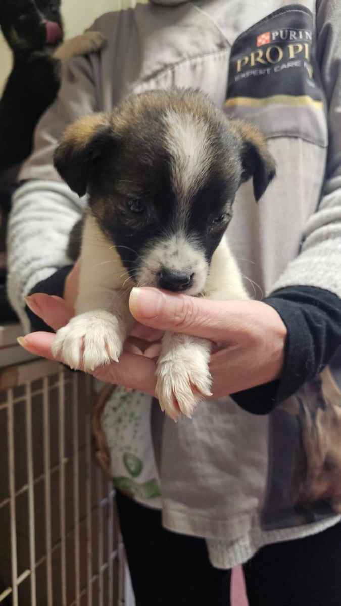 WhatsApp Image 2025-12-23 at 17.14.42 (4)