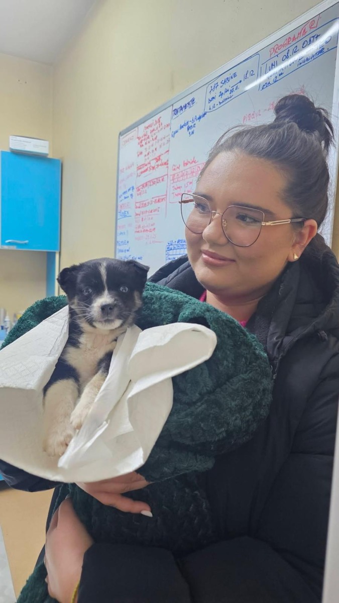 WhatsApp Image 2025-12-23 at 17.14.42 (5)