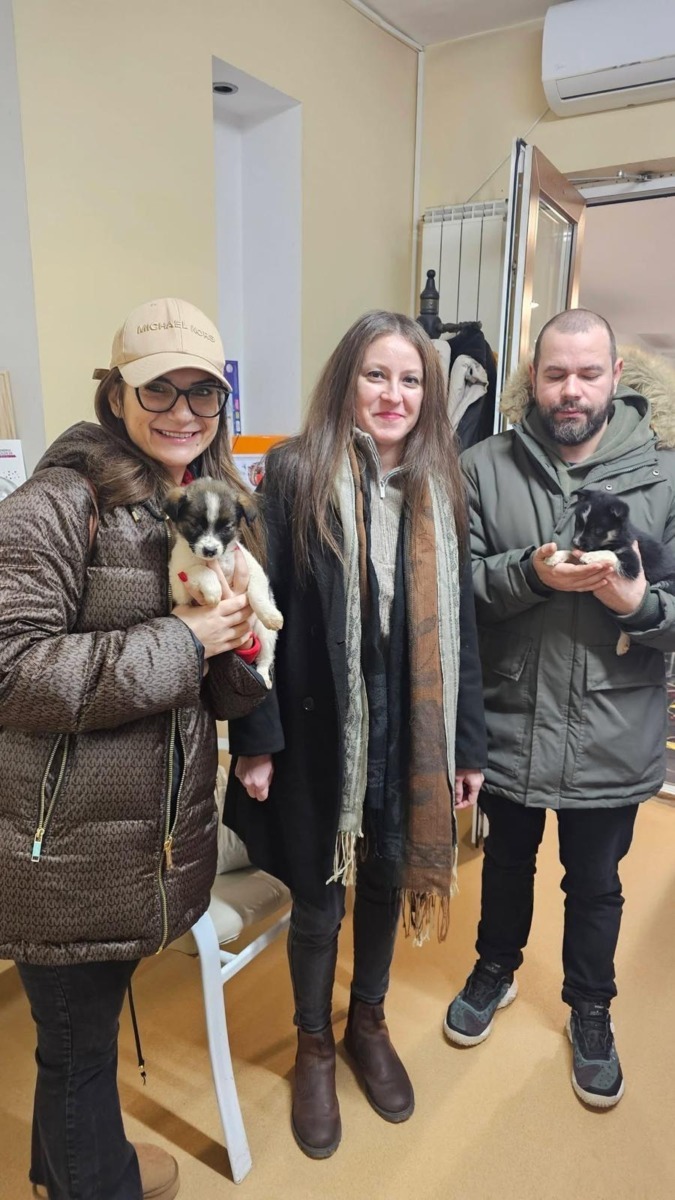 WhatsApp Image 2025-12-23 at 17.14.42 (6)