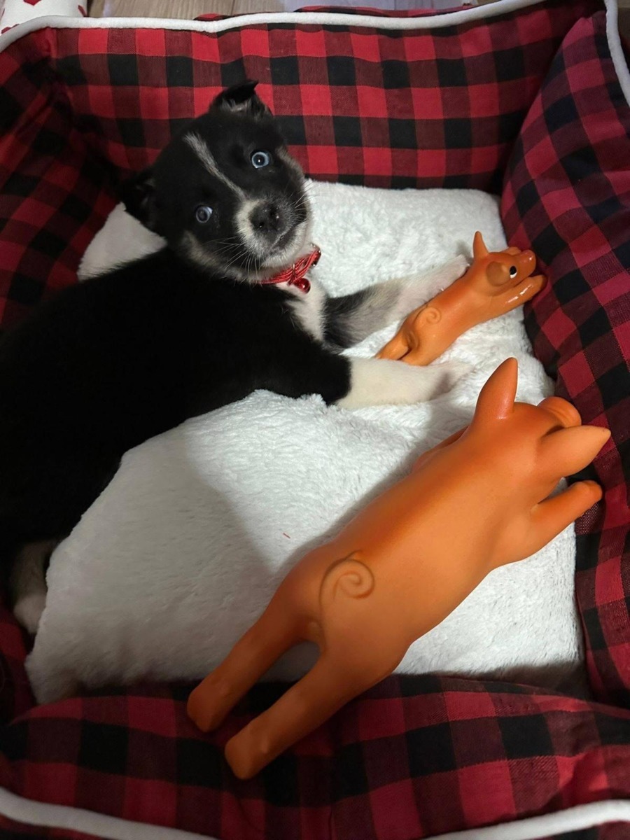 WhatsApp Image 2025-12-23 at 17.14.42 (8)