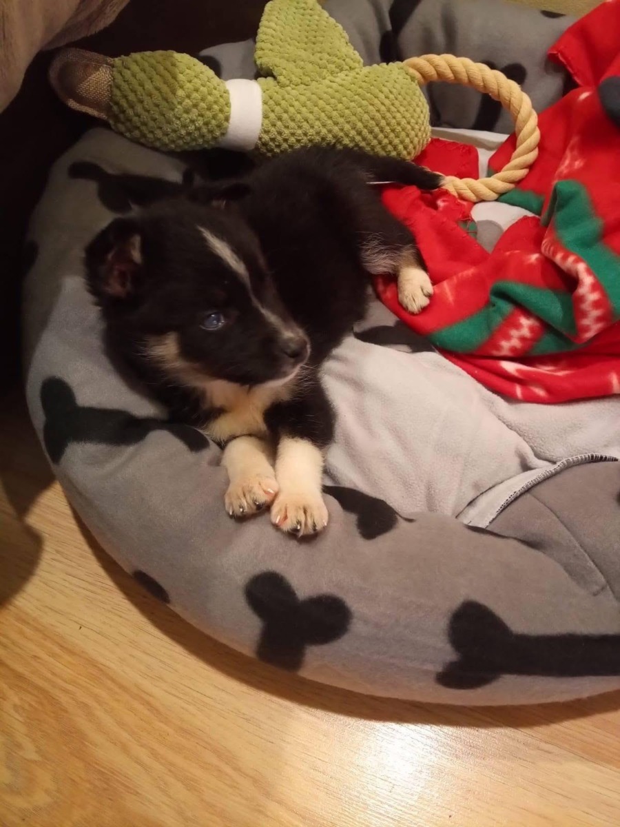 WhatsApp Image 2025-12-23 at 17.14.42 (9)