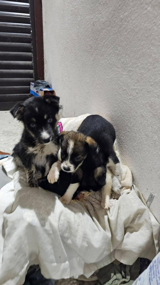 WhatsApp Image 2025-12-23 at 17.14.42