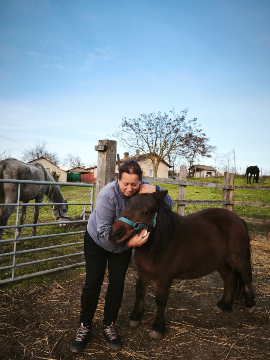 WhatsApp Image 2025-12-24 at 15.49.23 (1)