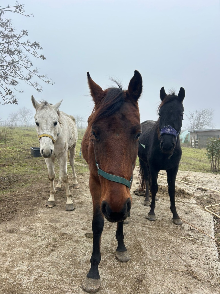 WhatsApp Image 2025-12-24 at 15.49.23 (2)