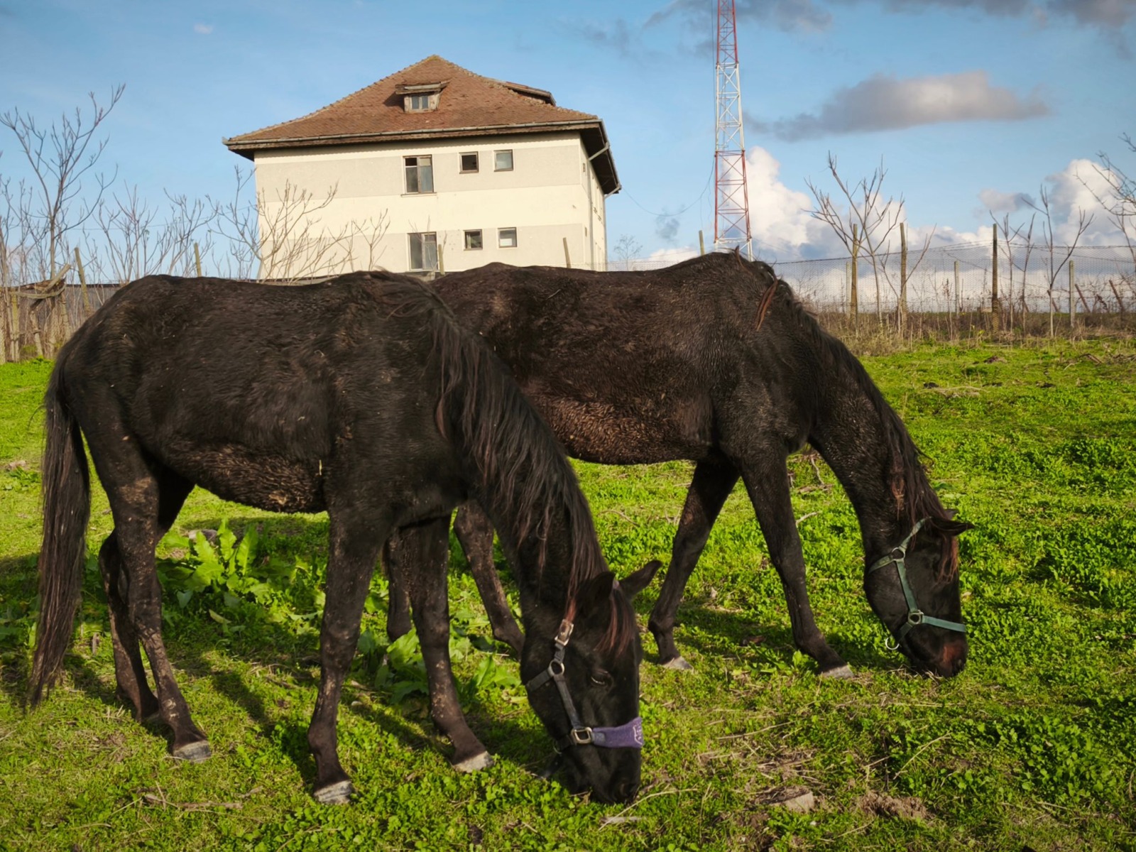 WhatsApp Image 2025-12-24 at 15.49.23 (3)