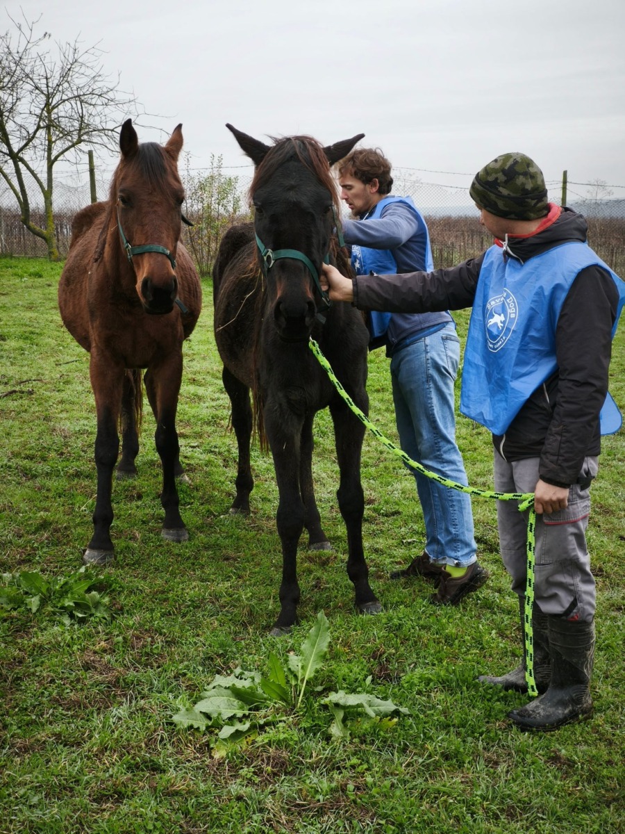 WhatsApp Image 2025-12-24 at 15.49.23 (4)