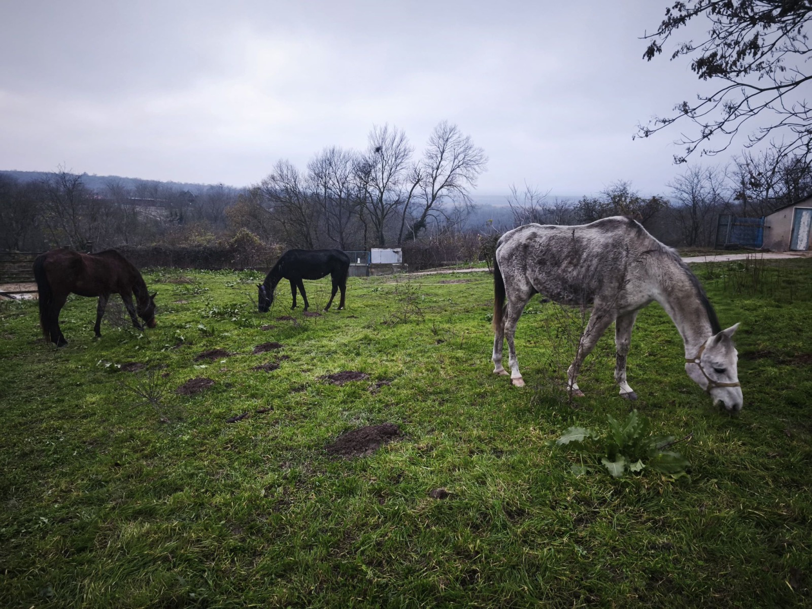 WhatsApp Image 2025-12-24 at 15.49.23 (6)