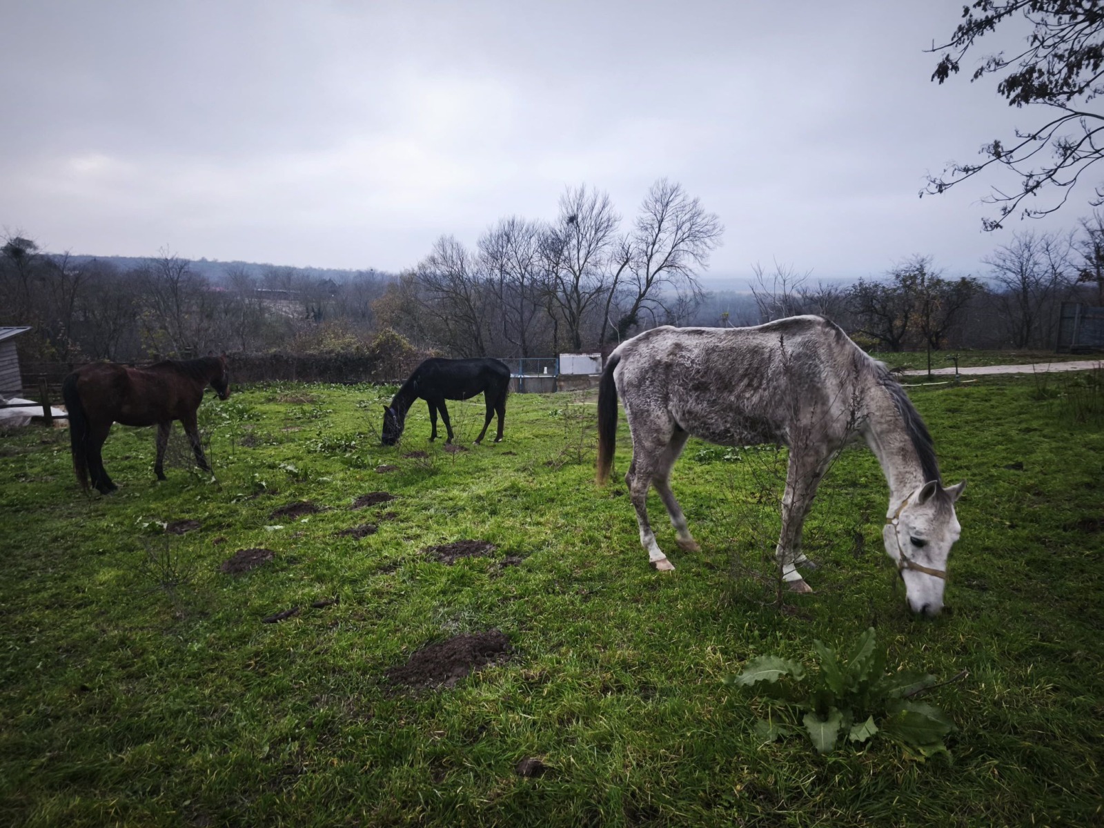 WhatsApp Image 2025-12-24 at 15.49.23 (8)