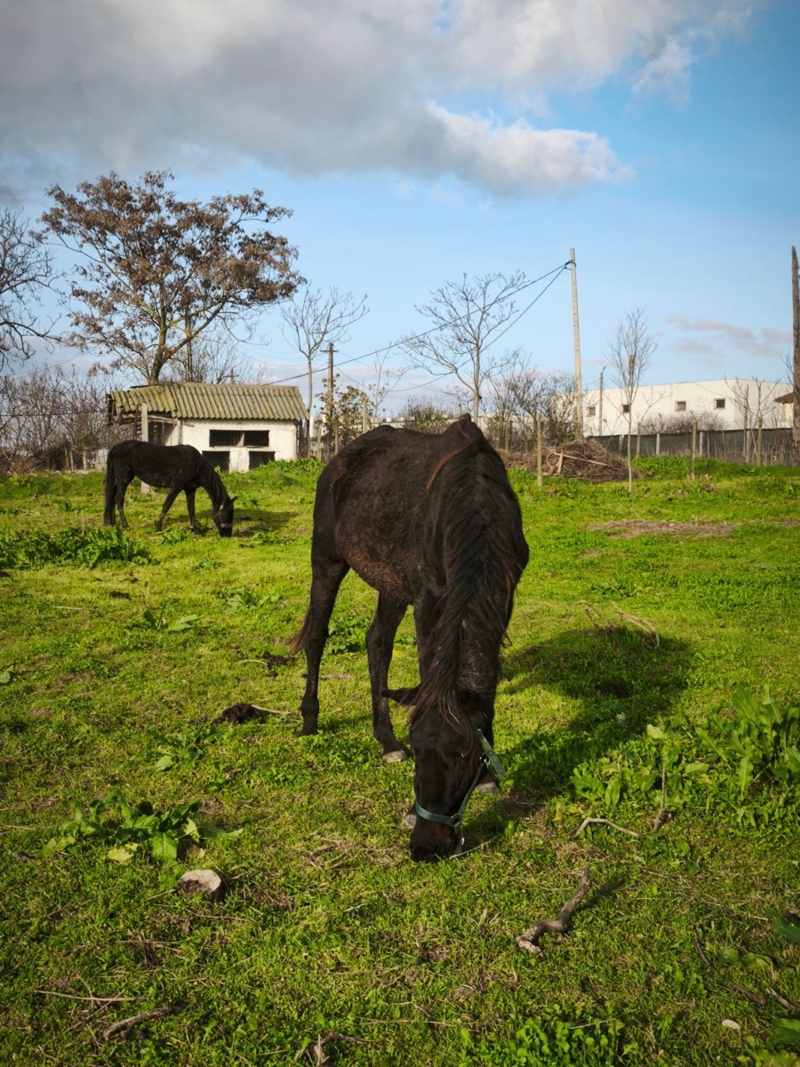 WhatsApp Image 2025-12-24 at 15.49.23 (9)