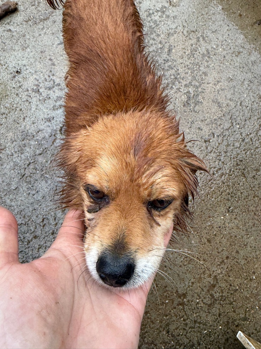 WhatsApp Image 2025-12-25 at 15.27.00 (1)