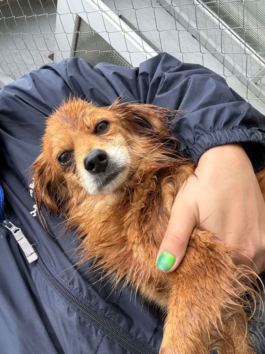 WhatsApp Image 2025-12-25 at 15.27.00 (2)