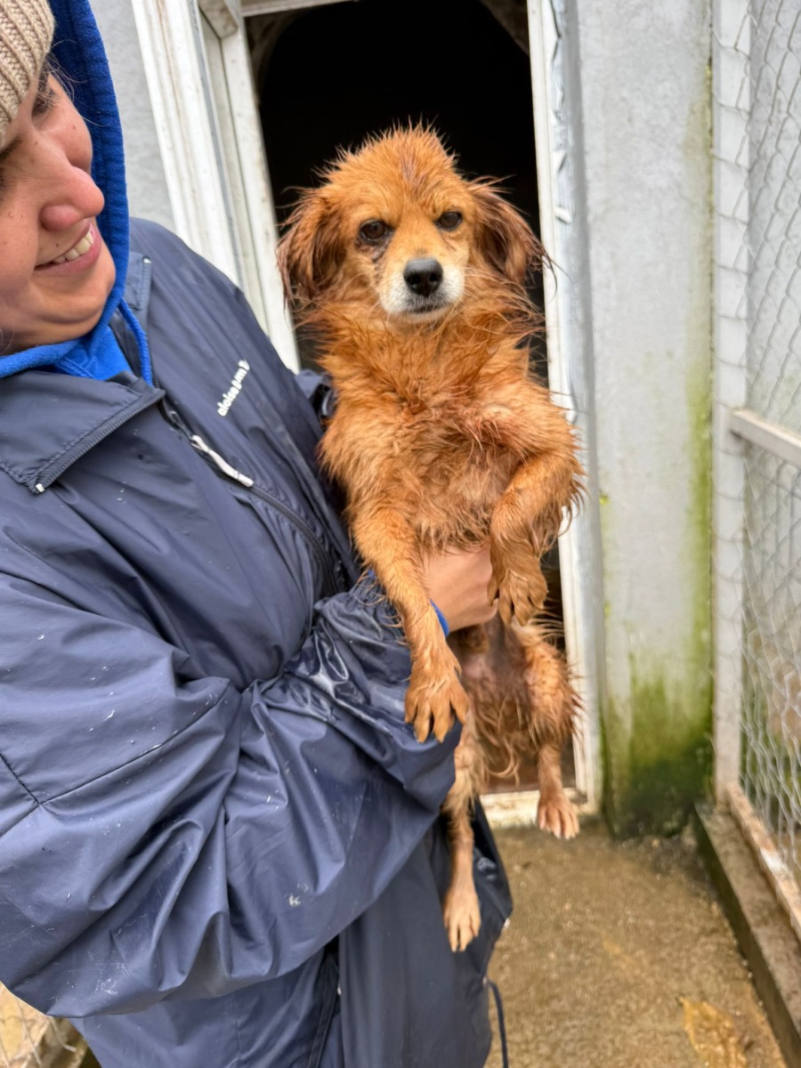 WhatsApp Image 2025-12-25 at 15.27.00 (3)