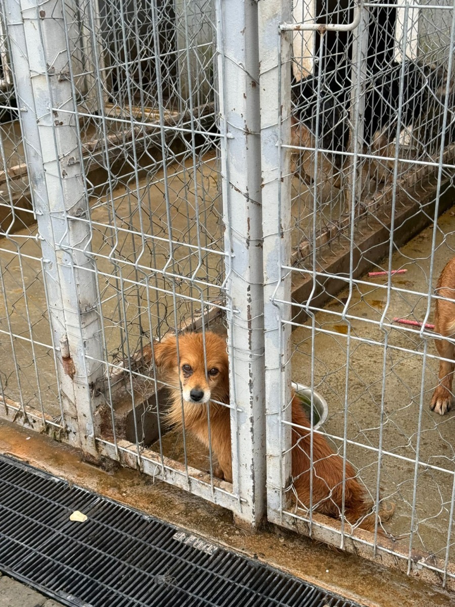 WhatsApp Image 2025-12-25 at 15.27.00