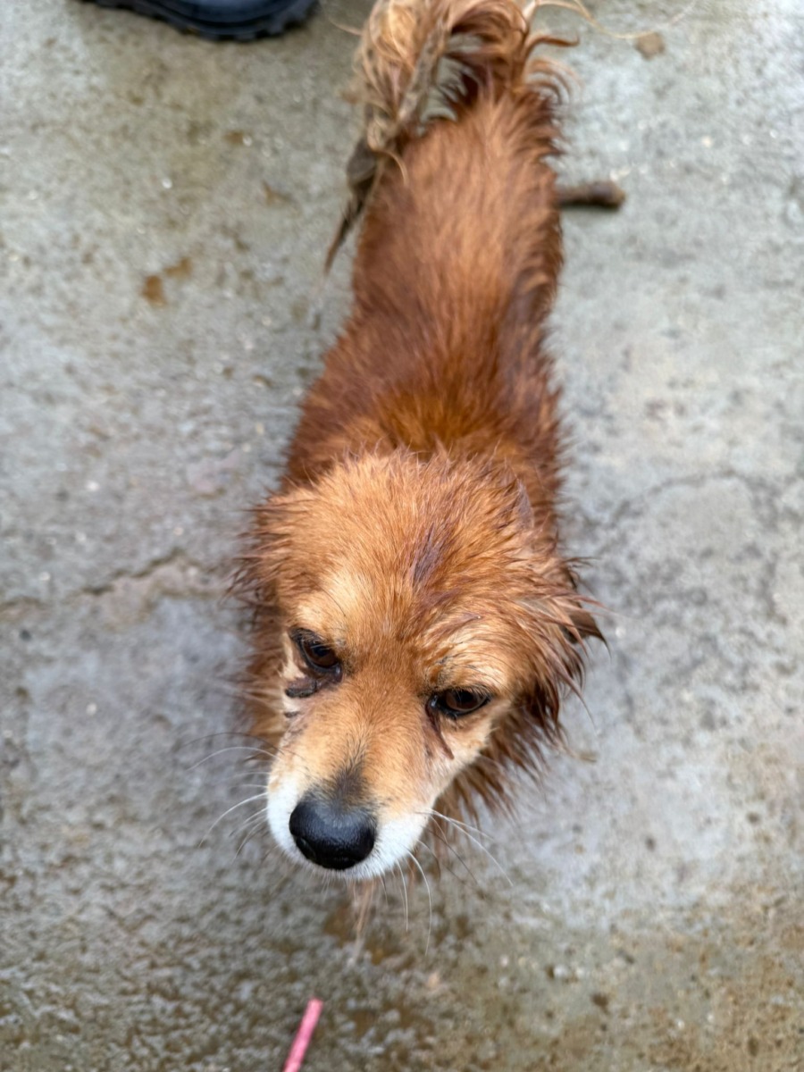 WhatsApp Image 2025-12-25 at 15.27.01