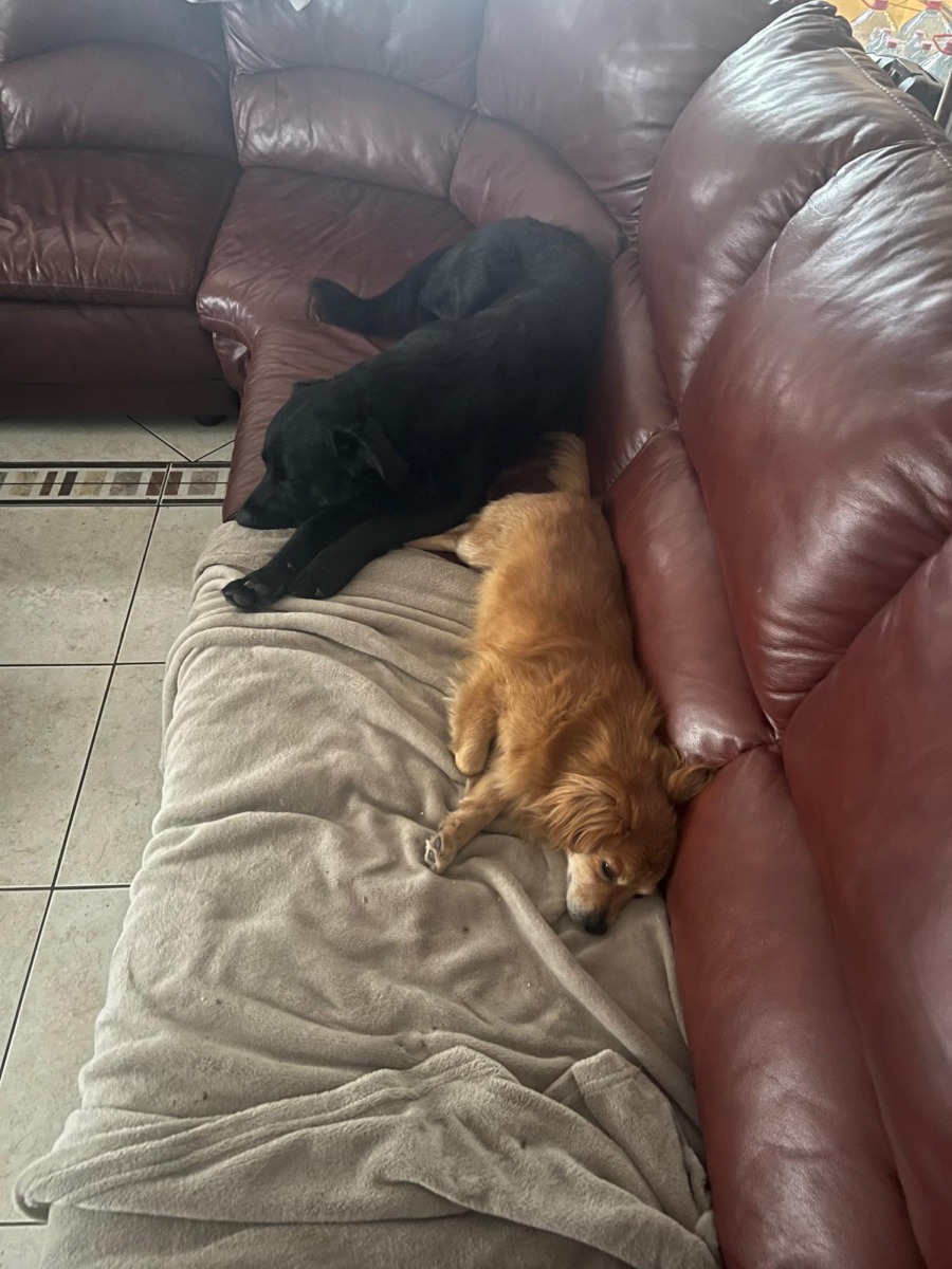 WhatsApp Image 2025-12-25 at 15.27.55