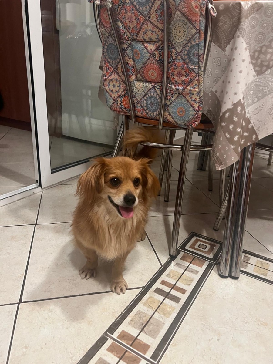 WhatsApp Image 2025-12-25 at 15.27.56 (1)