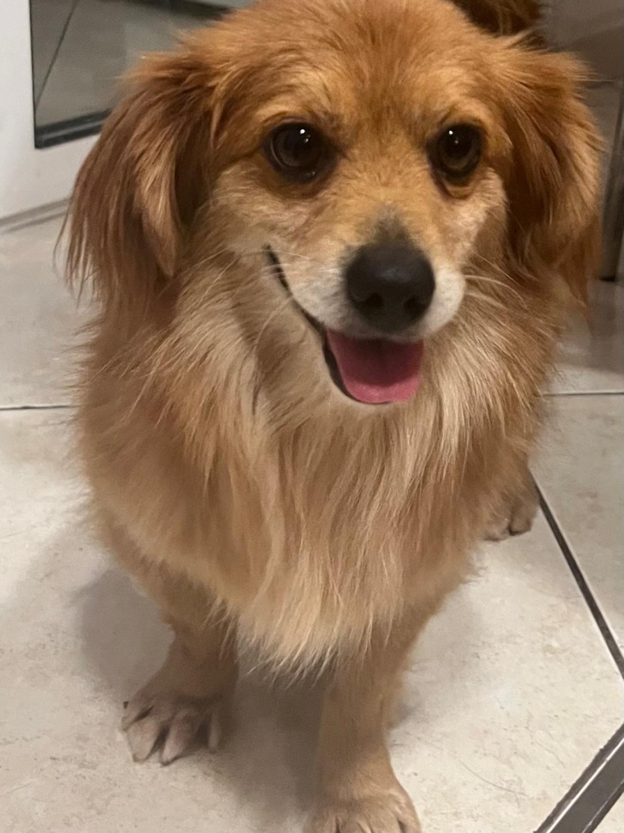 WhatsApp Image 2025-12-25 at 15.27.56 (2)