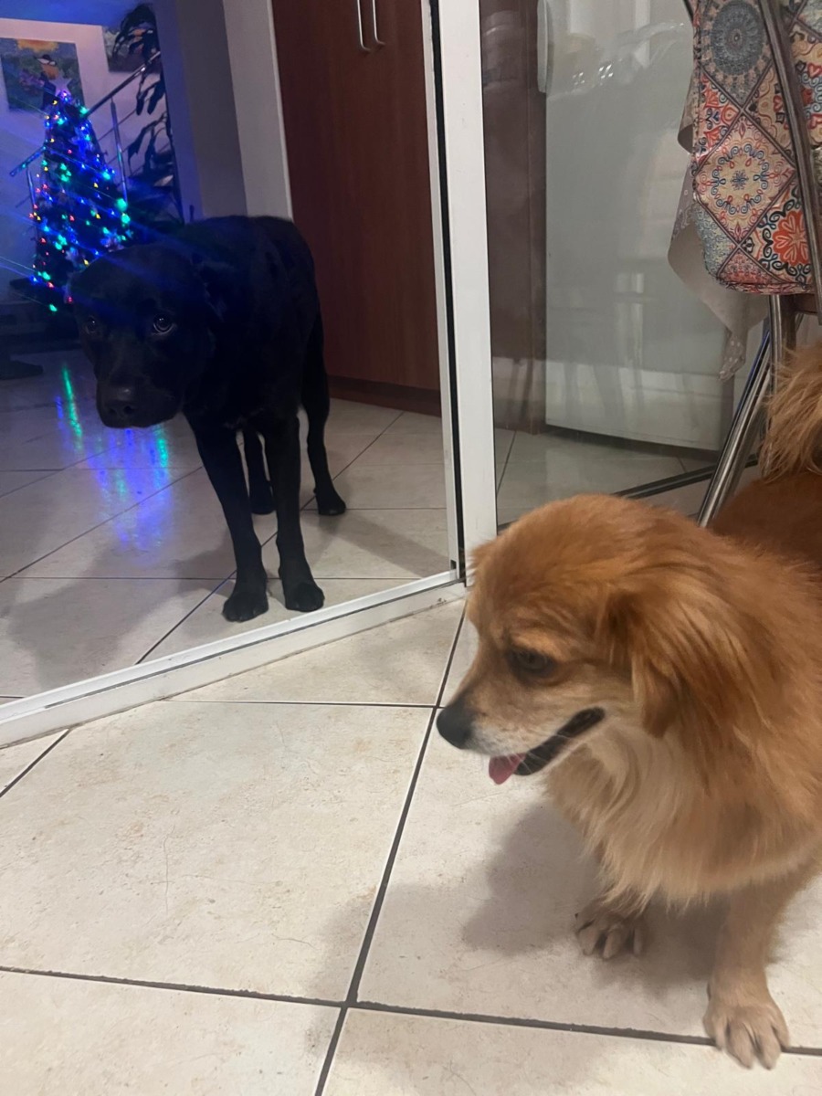 WhatsApp Image 2025-12-25 at 15.27.56 (3)