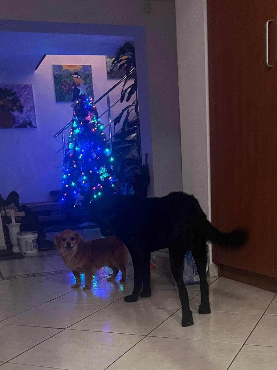 WhatsApp Image 2025-12-25 at 15.27.56