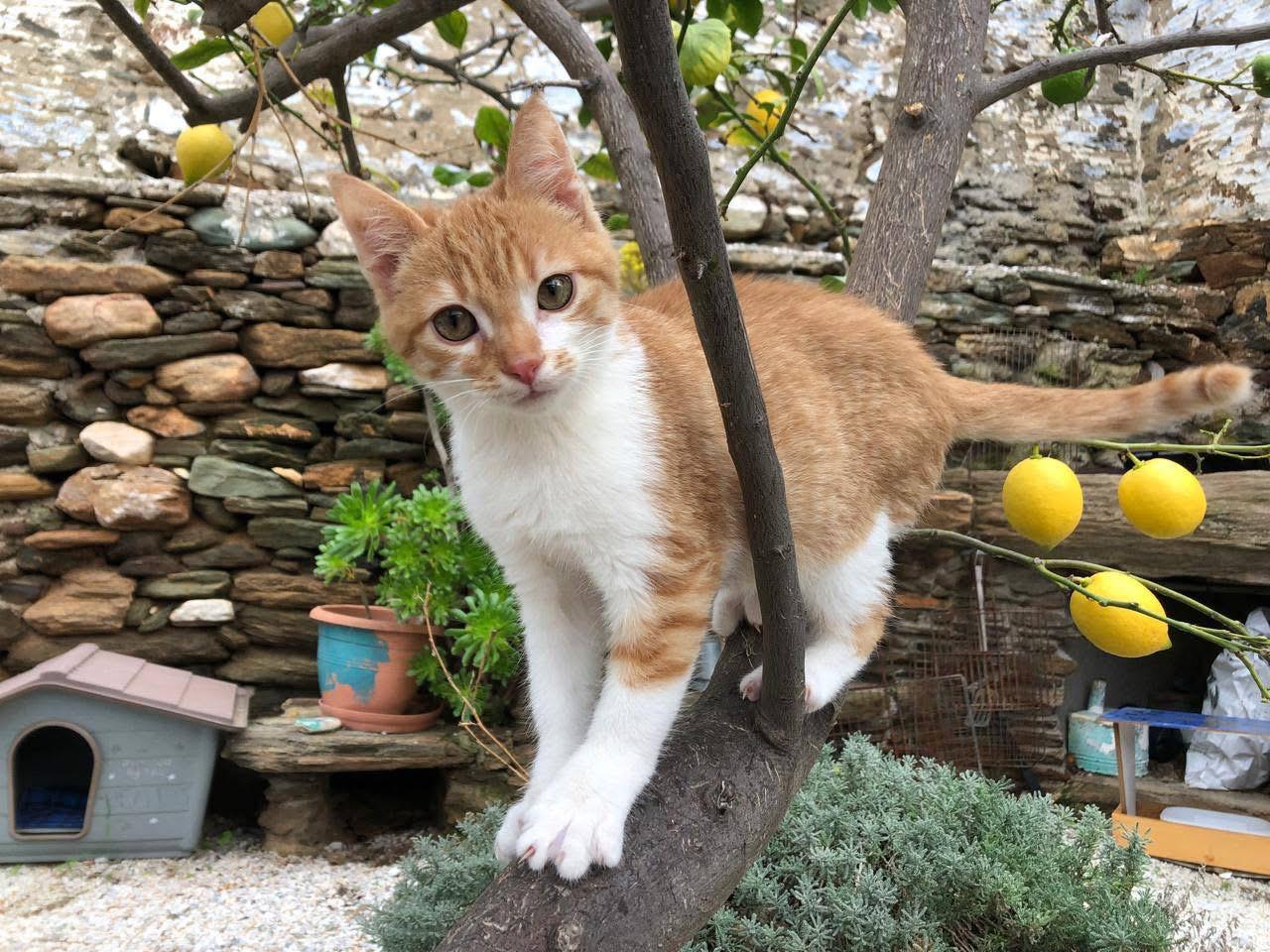 WhatsApp Image 2025-12-30 at 11.12.21 (1)