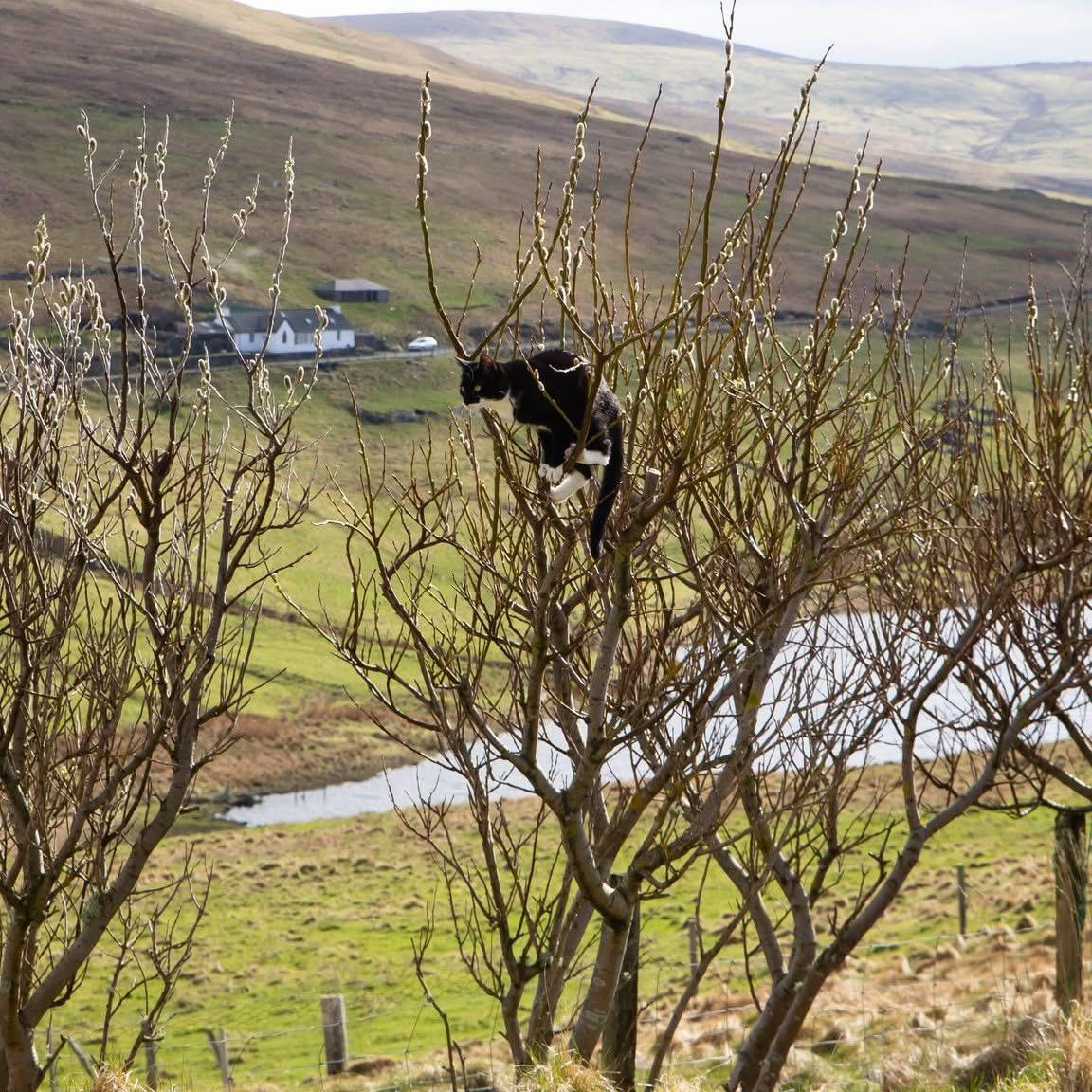 WhatsApp Image 2025-12-30 at 11.12.21 (2)