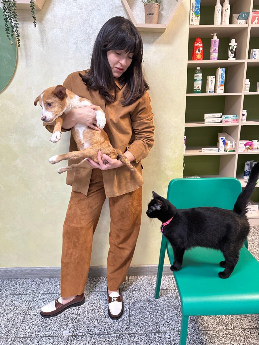 a1b5ece1-a769-446c-9a07-ca4fd4985bac