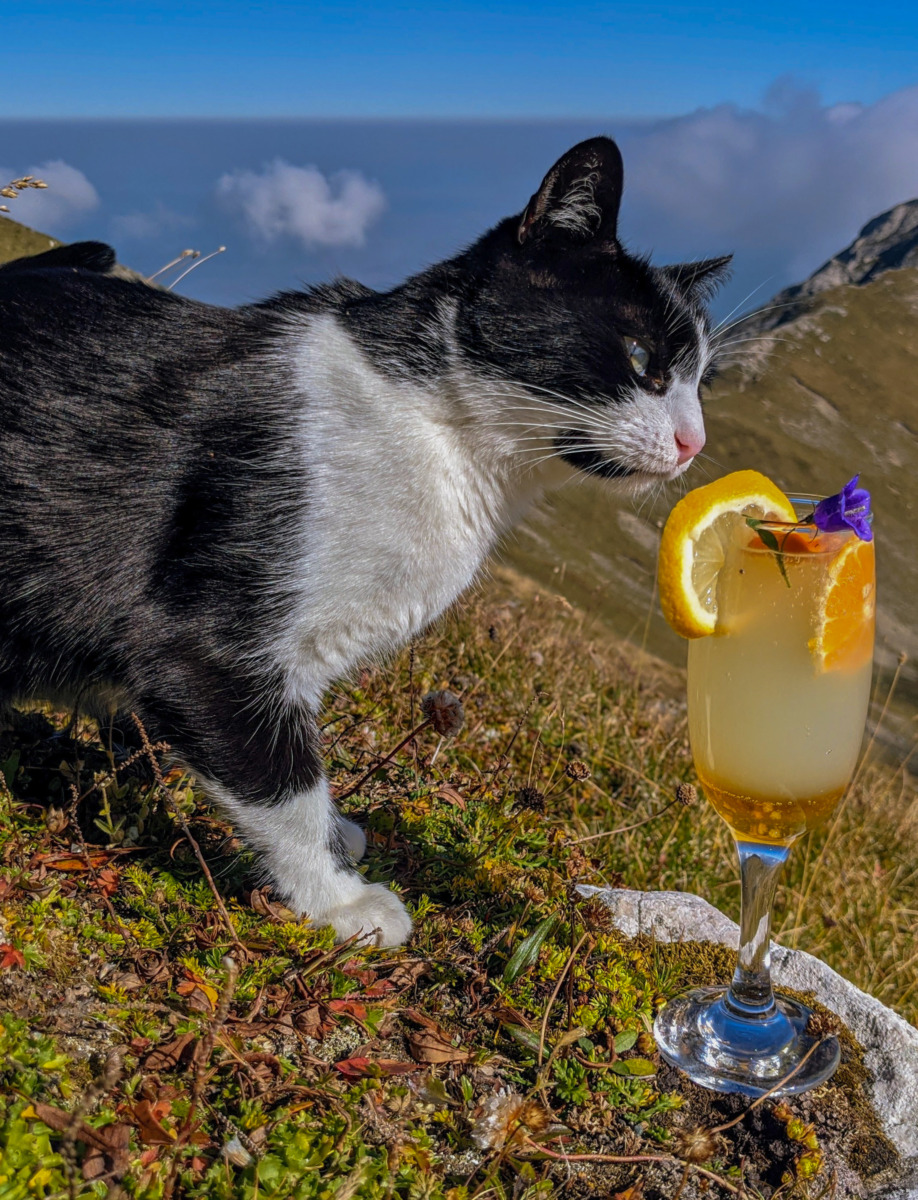 a78ca1d0-154a-40f1-b9e8-ddce38da8a46~1