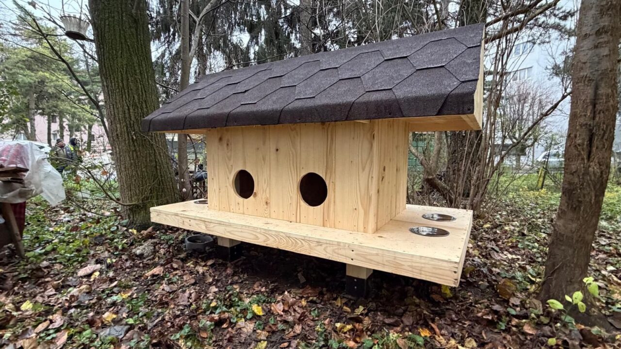 Adăpost pentru pisici amplasat în Suceava