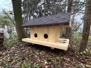 Adăpost pentru pisici amplasat în Suceava