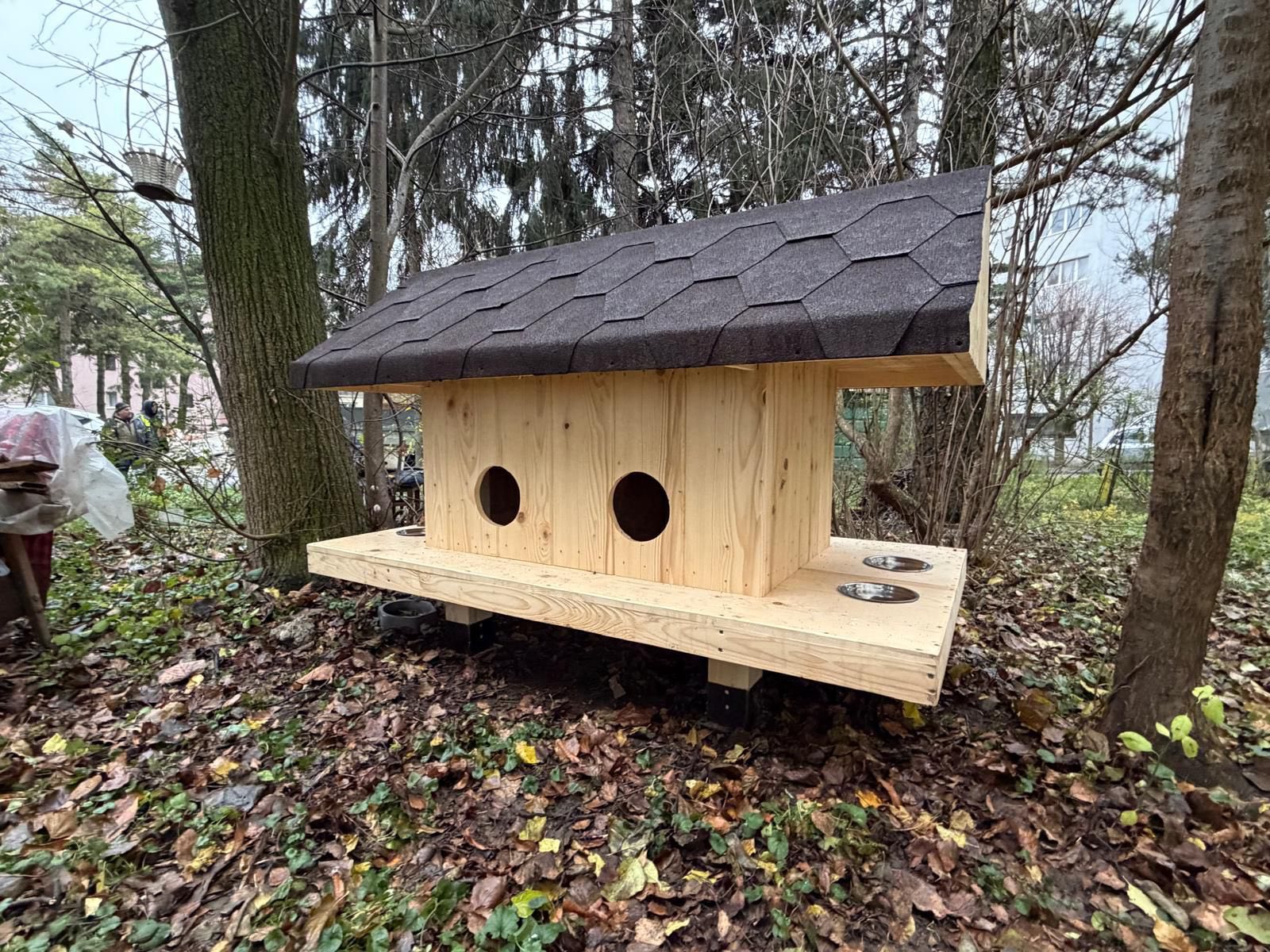 Adăpost pentru pisici amplasat în Suceava