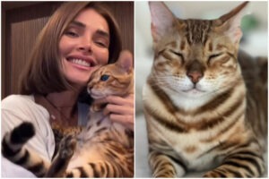 Colaj cu Alina Pușcaș și Feli, pisica bengaleză