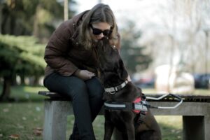 Persoană nevăzătoare alături de un câine de terapie