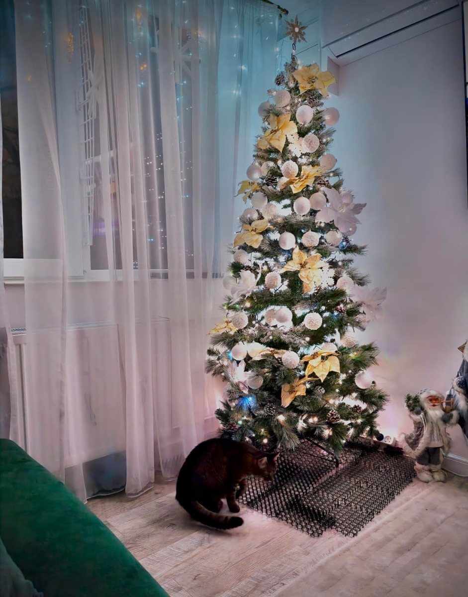 pisica langa bradul de Craciun