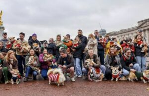 Câini Corgi alături de stăpânii lor în fața Buckingham Palace