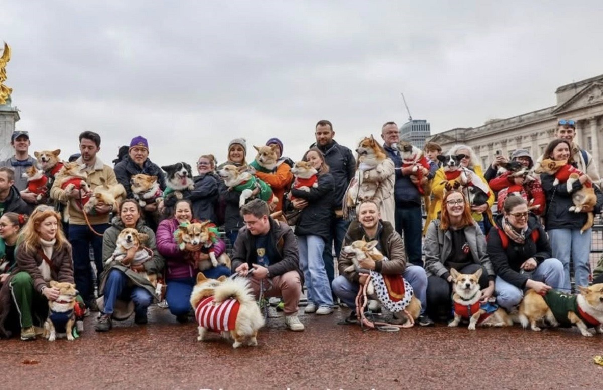 Câini Corgi alături de stăpânii lor în fața Buckingham Palace
