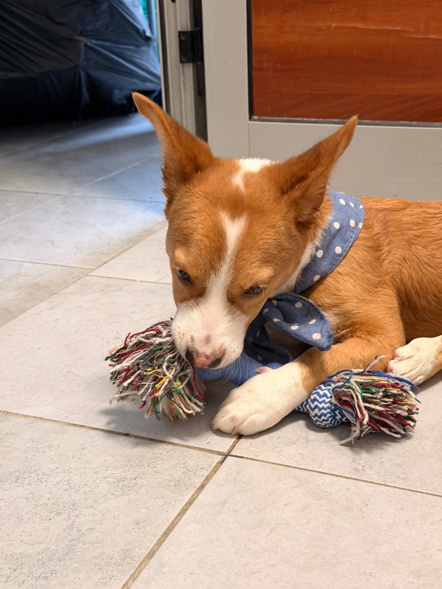 c8a1febd-26ff-4689-9646-5071994c3ada