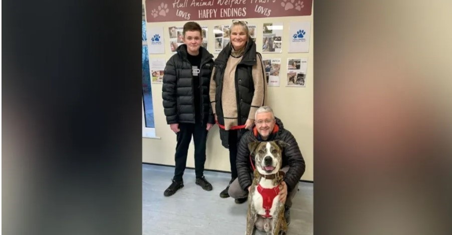 caine adoptat de craciun