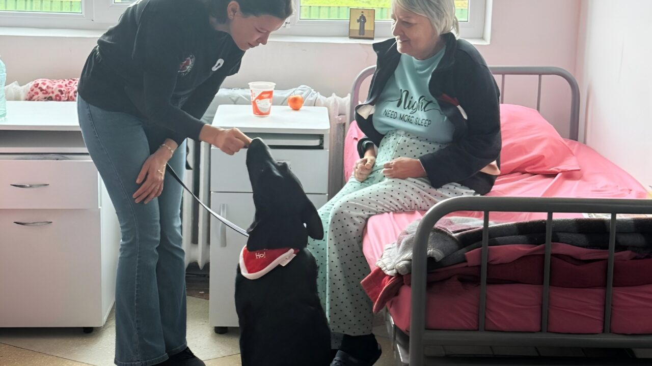 Câine de terapie în salonul Spitalului de Psihiatrie Bălăceanca, alături de un pacient