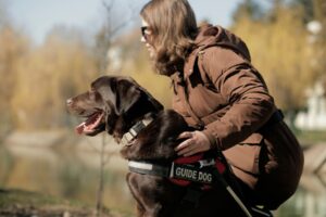Câine ghid lângă o persoană nevăzătoare
